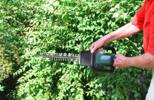 hedge-trimming-stockwell